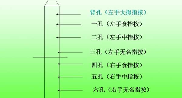 豎笛指法八孔指法圖,八孔豎笛指法表怎么看圖3