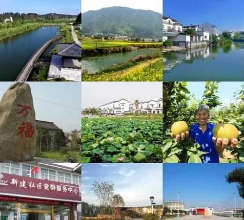 村委會(huì )和居委會(huì )有什么區別