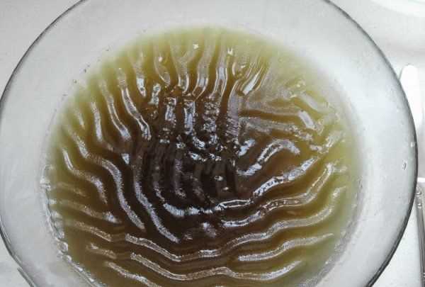 自制石花菜涼粉水的比例,石花菜涼粉怎么涼拌好吃竅門(mén)圖6