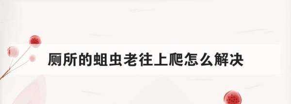 農(nóng)村廁所老有蛆往出爬怎么辦,蹲廁有蛆爬上來怎么辦圖1