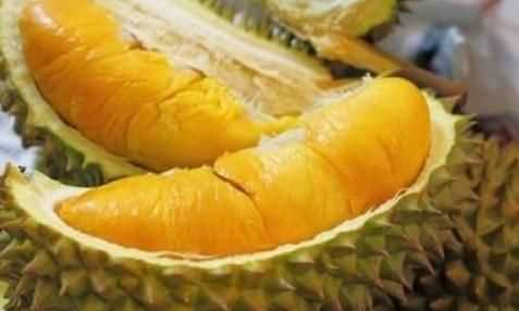 沒(méi)開(kāi)口的榴蓮怎么放熟，買了個(gè)沒(méi)開(kāi)口的榴蓮放了4天了還沒(méi)裂開(kāi)，但是外殼有些已經(jīng)爛了怎么辦？這樣算熟了嗎？圖1