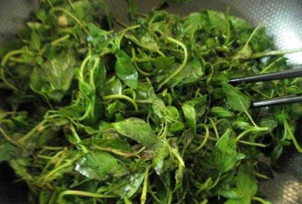 黃瓜荊芥怎么調(diào),完美的黃瓜變蛋拌荊芥怎么做好吃又簡單圖11