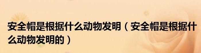 人類從什么動物身上得到啟示發(fā)明了什么寫兩個