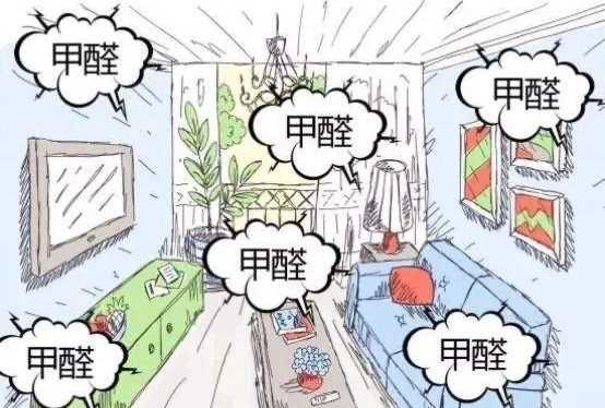 如何空氣凈化,放在房間凈化空氣的植物有哪些圖6