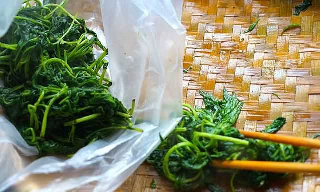 青團不放冰箱會壞嗎，家庭版青團簡單做法？圖10