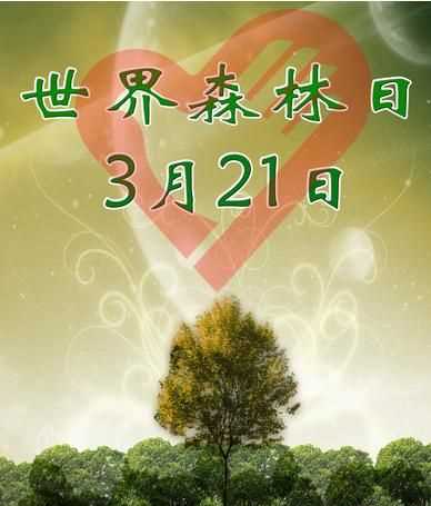 保護(hù)森林的重要性,森林對(duì)人類生存和發(fā)展的重要性