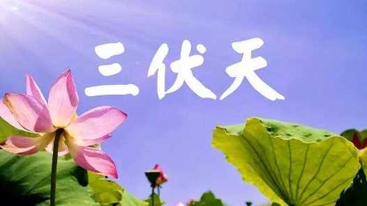 2020伏天多長,三伏天有哪些防暑小常識圖6