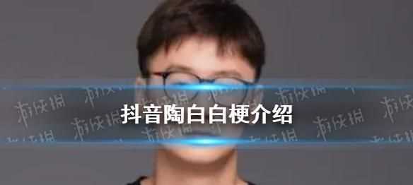 陶白白和白桃是一個(gè)人嗎