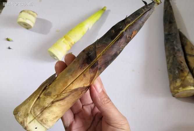 春筍壞了是什么樣子