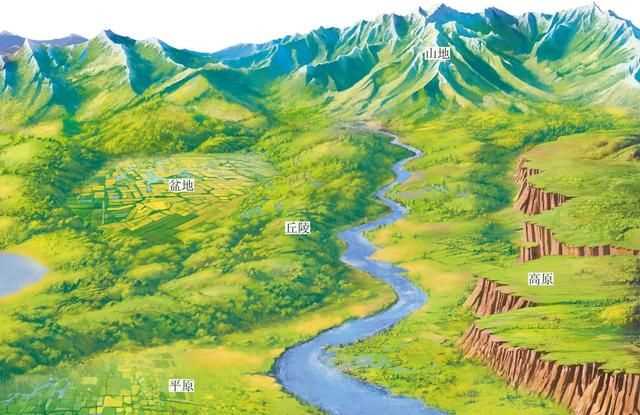 中國森林面積達(dá)220萬平方千米占其國土面積的百分之多少，第九次森林普查我國森林面積居世界第幾位？圖4
