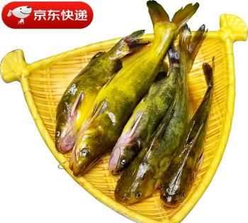 黃古魚的營(yíng)養(yǎng)價(jià)值及功效與作用