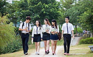 大學(xué)校園安全知識流程