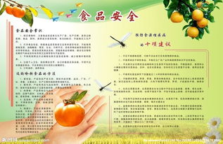 食堂安全知識作文500字