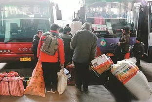 做長(cháng)途汽車(chē)和火車(chē)安全知識