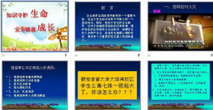 知識守護生命安全鑄就成長(cháng)