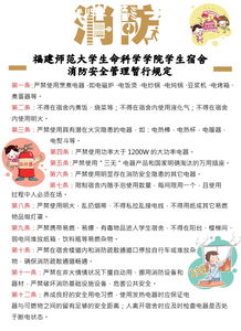 學(xué)校安全知識報告內容