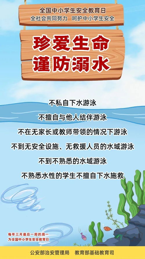 國家安全基礎知識小學(xué)生