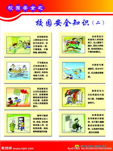 關(guān)于安全校園的知識