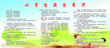 小學(xué)生安全知識(shí)報(bào)道