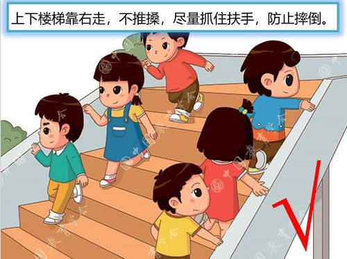 防踩踏安全知識培訓心得