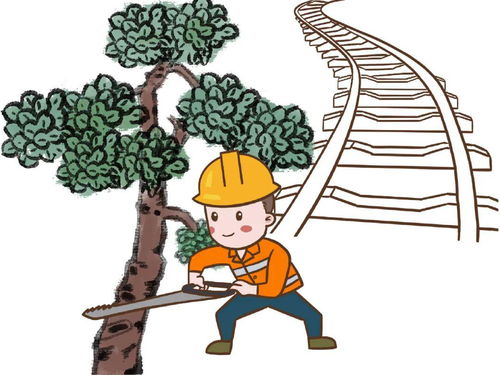 鐵路防洪防汛安全知識客運