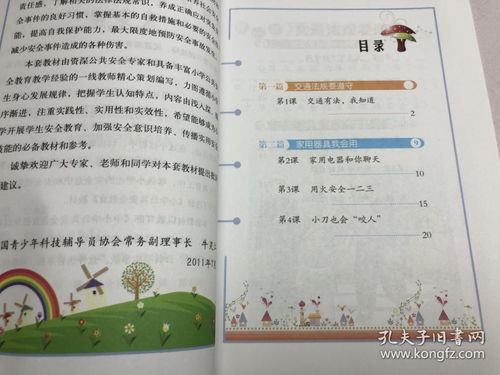 校園安全消防知識作文二級