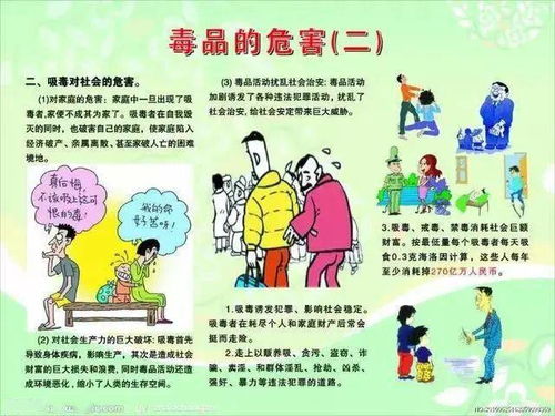 安全知識理解
