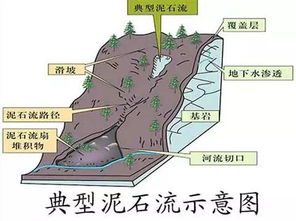 學(xué)生防泥石流安全知識