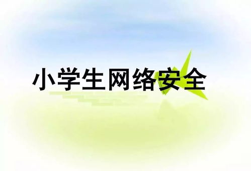 小學(xué)網(wǎng)絡(luò )安全知識總結