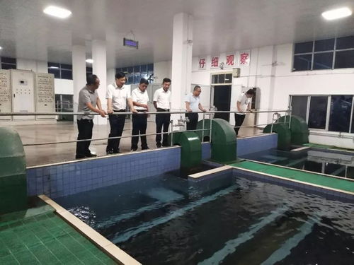 夏天自來(lái)水安全知識
