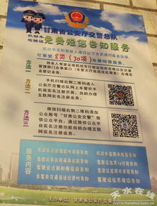 鄉鎮駕駛員道路交通安全知識