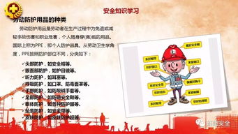 安全技術(shù)知識的培訓心得