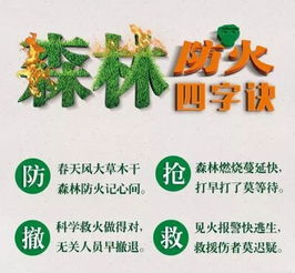 農村清明節森林防火安全知識
