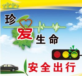 學(xué)生交通安全知識100問(wèn)