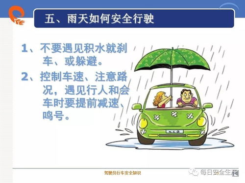 駕駛員交通安全知識