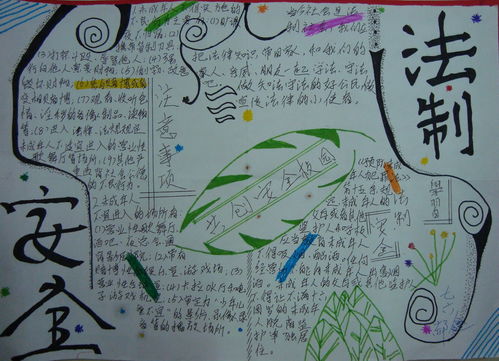 小學(xué)五級安全法規知識梳理