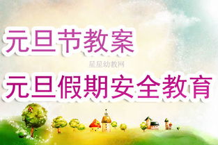 小學(xué)生元旦節安全教育知識