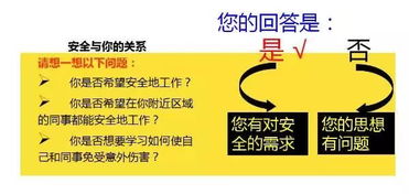 公路養(yǎng)護(hù)安全知識(shí)競賽題庫