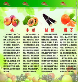 食品安全知識圖譜