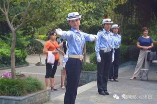 關(guān)于交通安全知識報告有感
