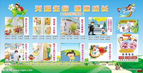 幼兒園關(guān)于安全知識的內容