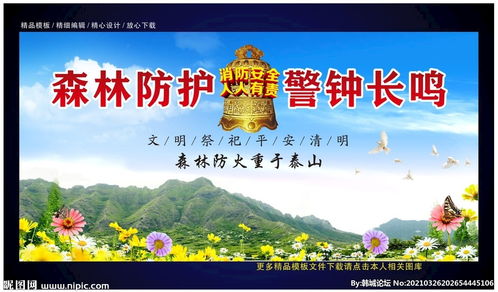 小學(xué)生清明森林防火安全知識總結