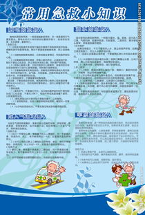 安全急救知識發(fā)言稿