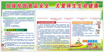 學(xué)校進(jìn)行食品安全知識(shí)宣傳