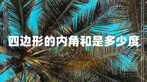 四邊形的內角和是多少度