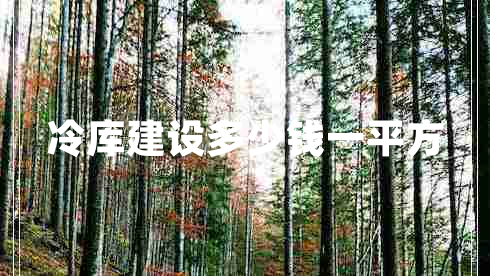 冷庫建設多少錢(qián)一平方