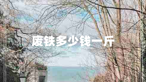 廢鐵多少錢(qián)一斤