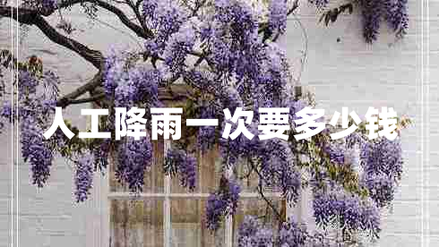 人工降雨一次要多少錢(qián)
