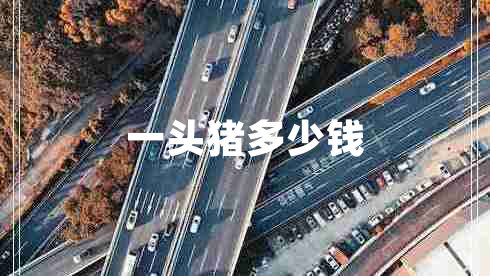 一頭豬多少錢(qián)