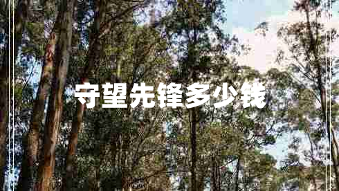 守望先鋒多少錢(qián)